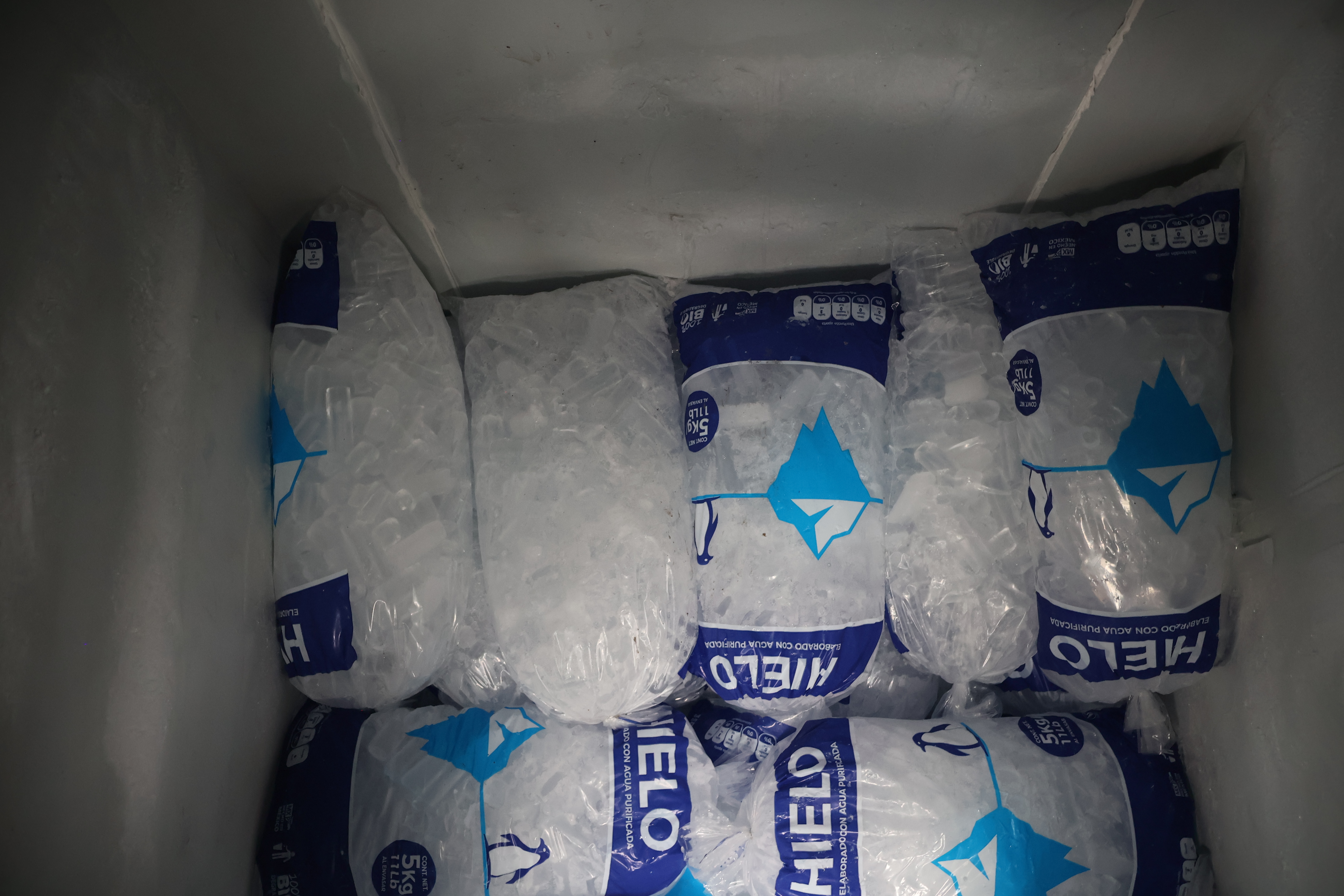 Conservador Totoli 150 bolsas